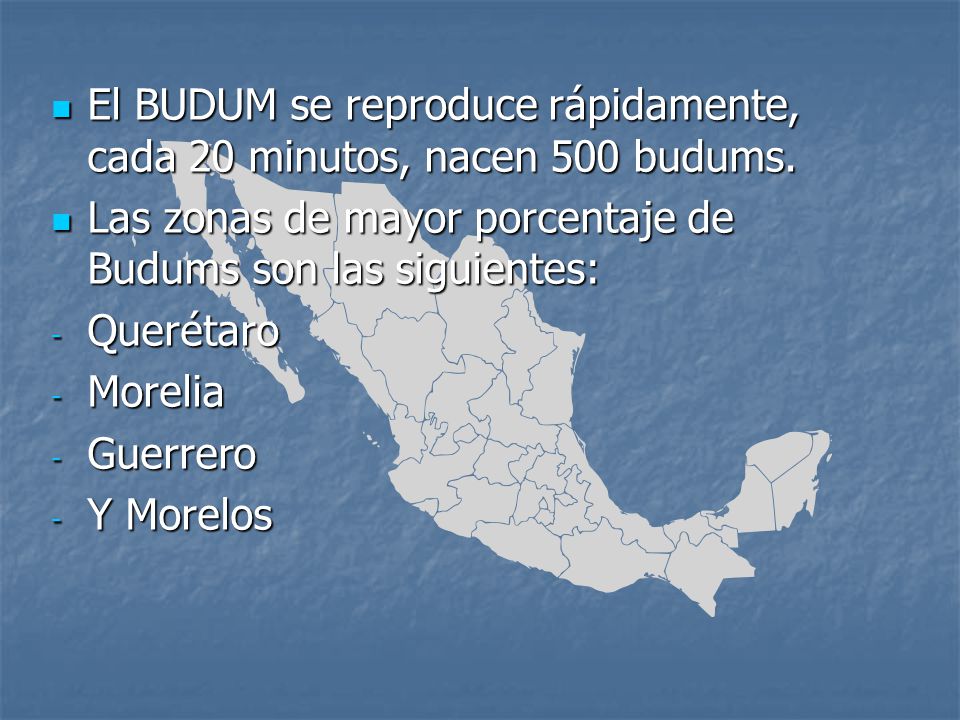 El BUDUM se reproduce rápidamente, cada 20 minutos, nacen 500 budums.