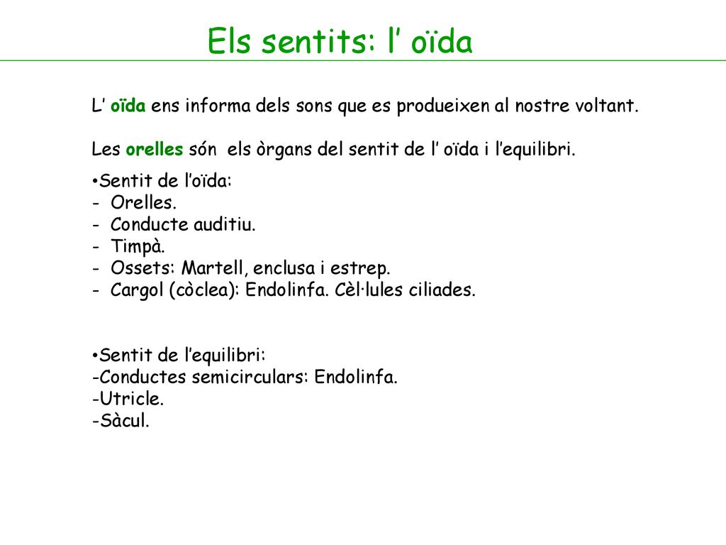 Els sentits: l’ oïda L’ oïda ens informa dels sons que es produeixen al nostre voltant.