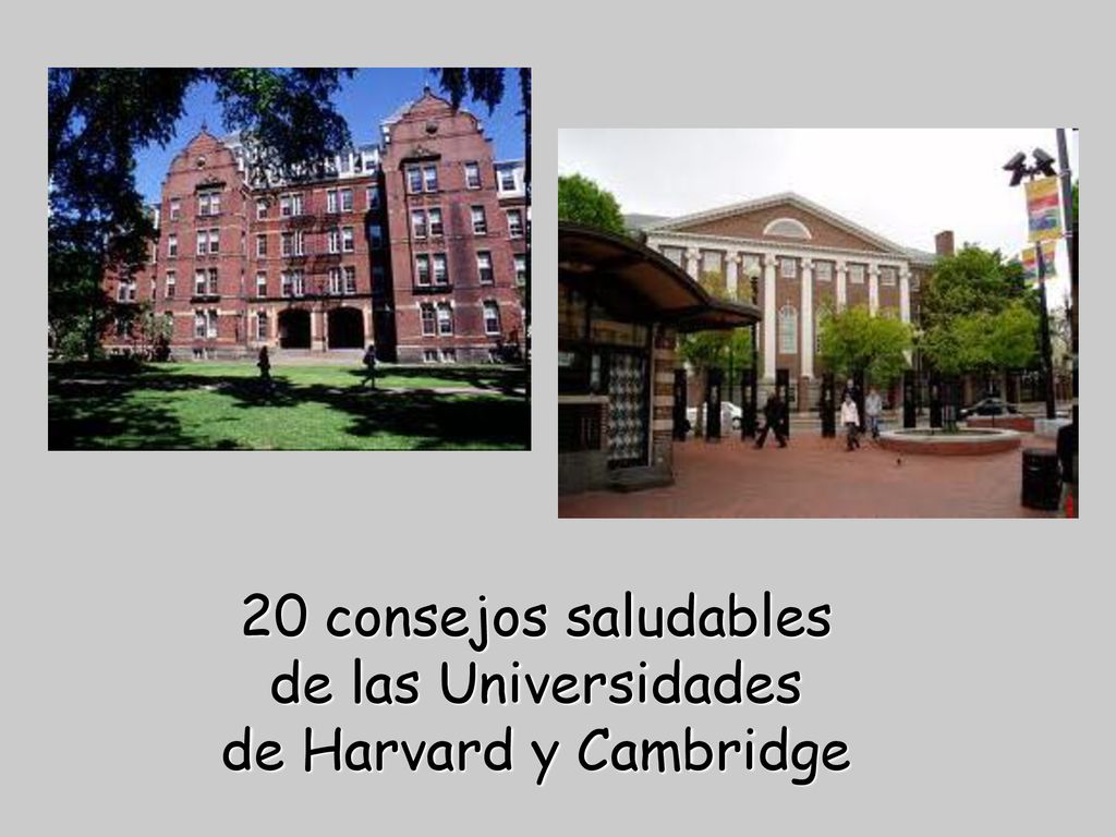 20 consejos saludables de las Universidades de Harvard y Cambridge