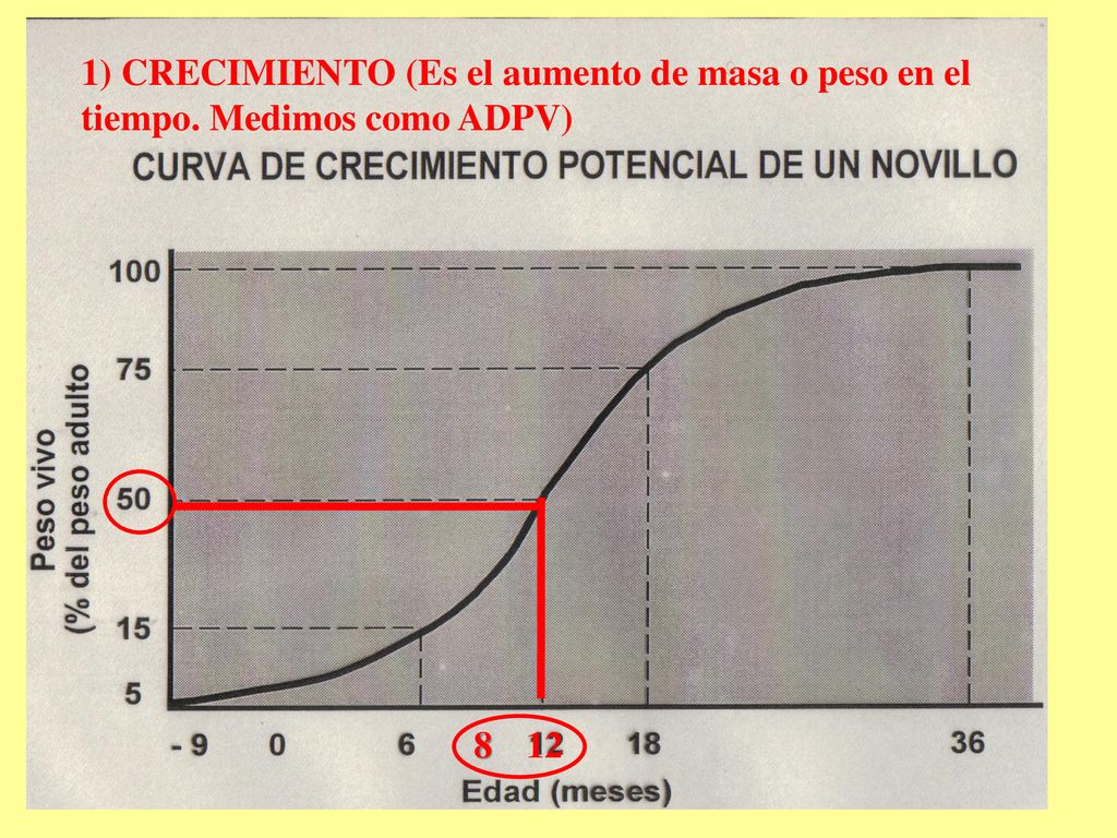 1) CRECIMIENTO (Es el aumento de masa o peso en el tiempo