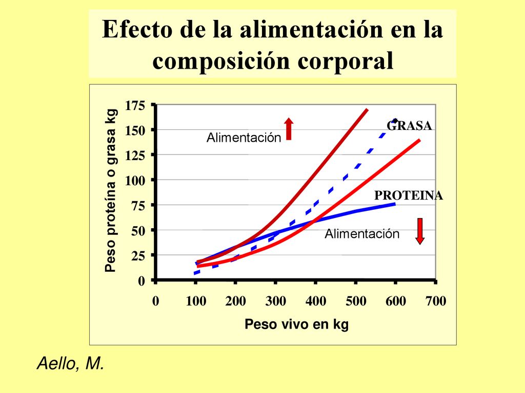 Efecto de la alimentación en la composición corporal