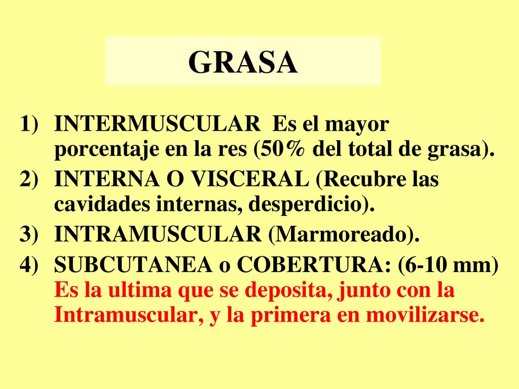 GRASA INTERMUSCULAR Es el mayor porcentaje en la res (50% del total de grasa). INTERNA O VISCERAL (Recubre las cavidades internas, desperdicio).