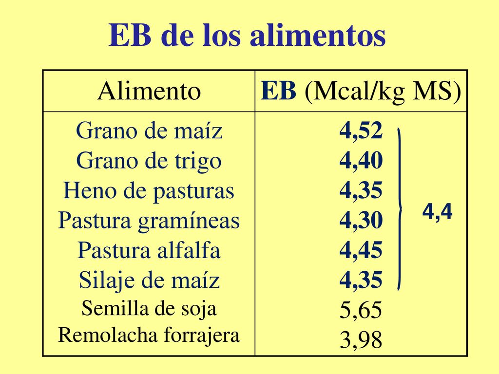 EB de los alimentos Alimento EB (Mcal/kg MS) Grano de maíz