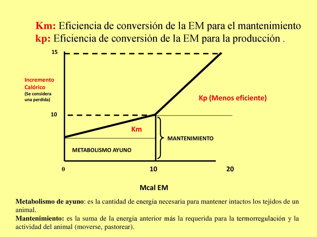 Km: Eficiencia de conversión de la EM para el mantenimiento