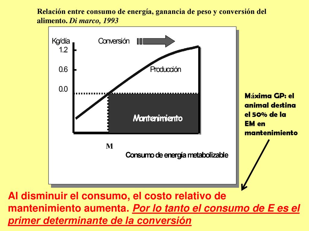 Relación entre consumo de energía, ganancia de peso y conversión del alimento. Di marco, 1993