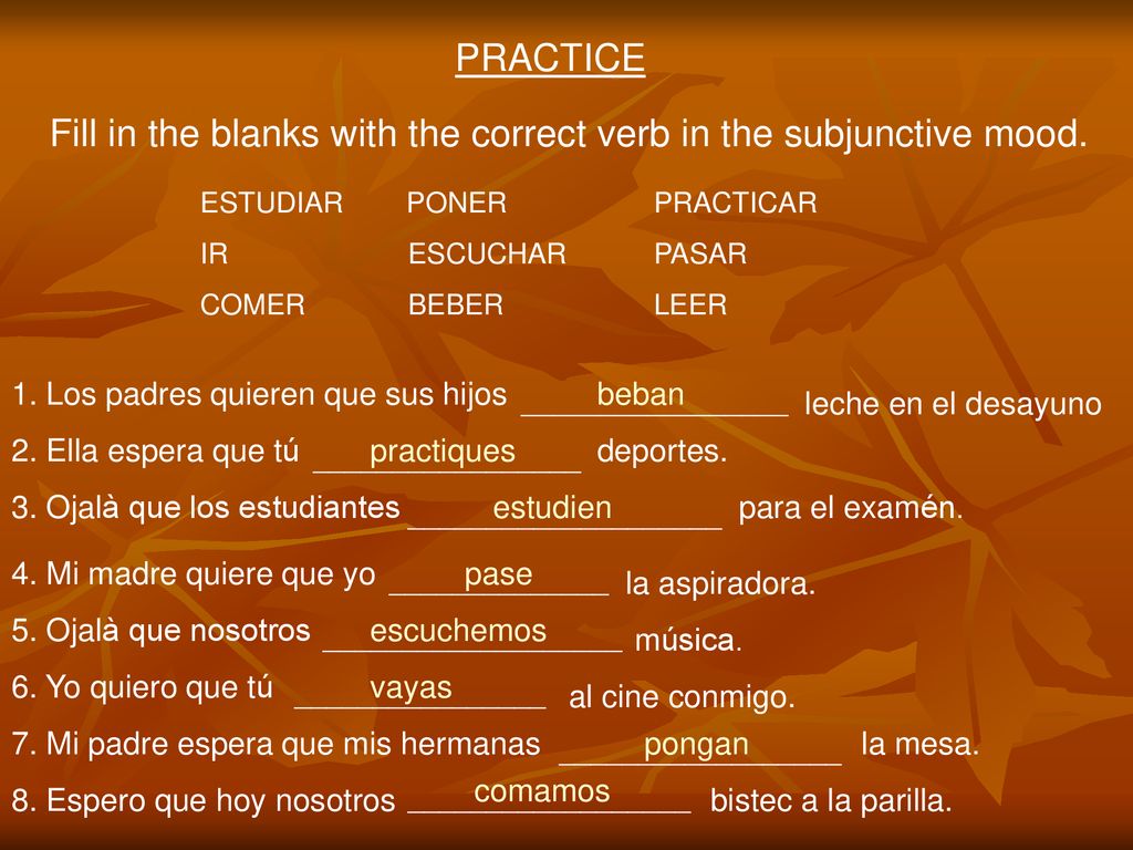Fill in the blanks with the correct verb in the subjunctive mood.