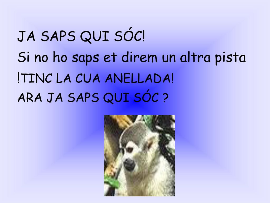 Si no ho saps et direm un altra pista !TINC LA CUA ANELLADA!