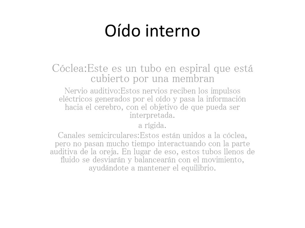 Cóclea:Este es un tubo en espiral que está cubierto por una membran