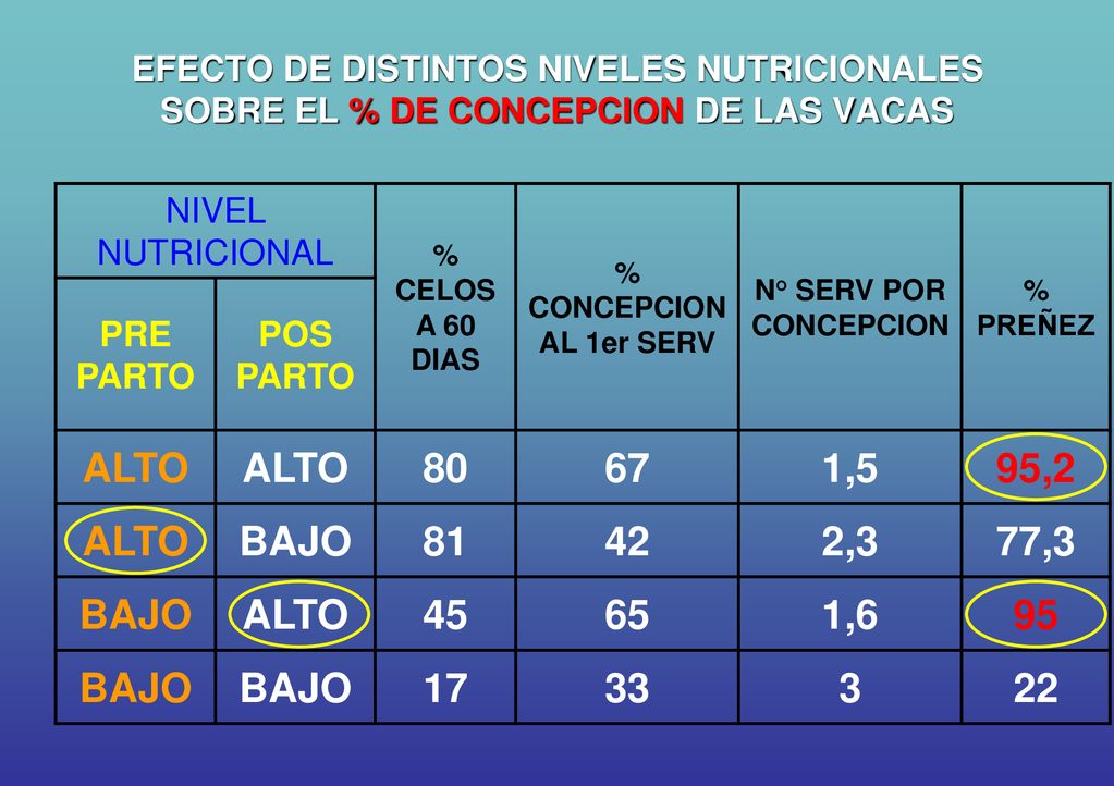 EFECTO DE DISTINTOS NIVELES NUTRICIONALES SOBRE EL % DE CONCEPCION DE LAS VACAS