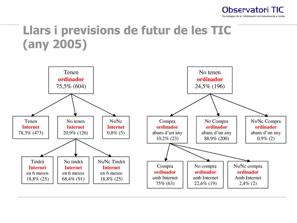 Llars i previsions de futur de les TIC (any 2005)