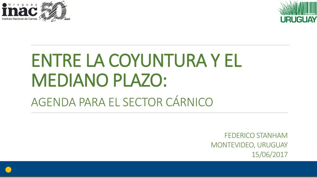 ENTRE LA COYUNTURA Y EL MEDIANO PLAZO: AGENDA PARA EL SECTOR CÁRNICO