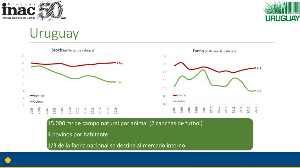 Uruguay m2 de campo natural por animal (2 canchas de fútbol)