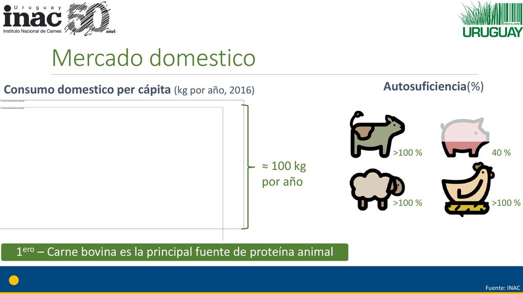 1ero – Carne bovina es la principal fuente de proteína animal