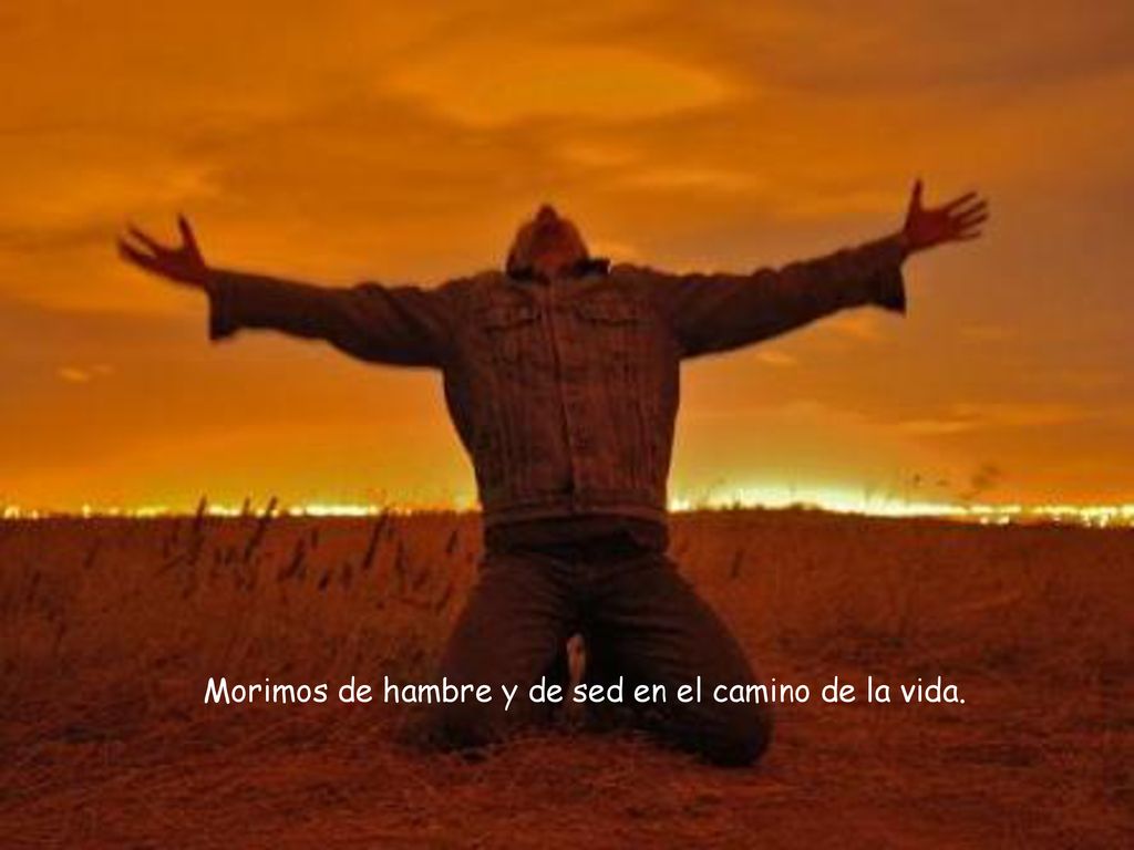 Morimos de hambre y de sed en el camino de la vida.