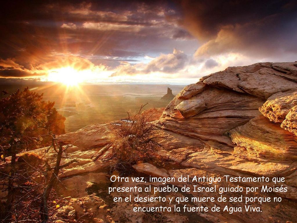 Otra vez, imagen del Antiguo Testamento que presenta al pueblo de Israel guiado por Moisés en el desierto y que muere de sed porque no encuentra la fuente de Agua Viva.