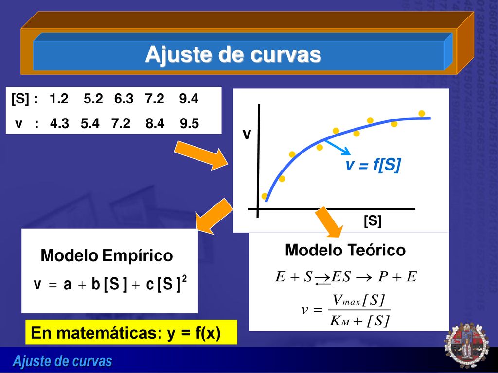 Ajuste de curvas v v = f[S] Modelo Teórico Modelo Empírico