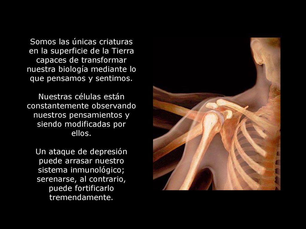 Somos las únicas criaturas en la superficie de la Tierra capaces de transformar nuestra biología mediante lo que pensamos y sentimos.