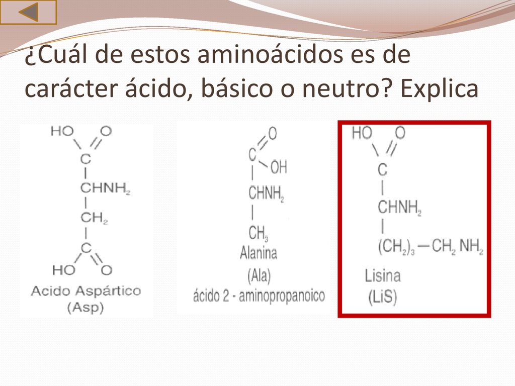 ¿Cuál de estos aminoácidos es de carácter ácido, básico o neutro