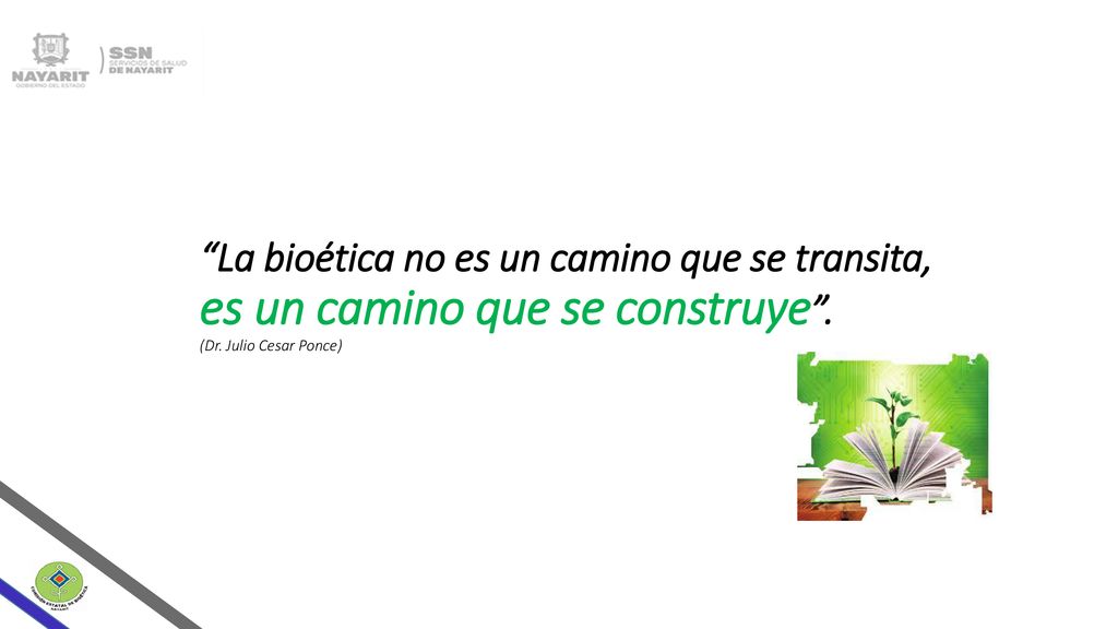 La bioética no es un camino que se transita, es un camino que se construye .