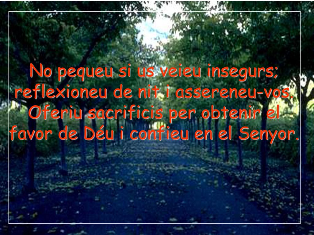 No pequeu si us veieu insegurs; reflexioneu de nit i assereneu-vos.