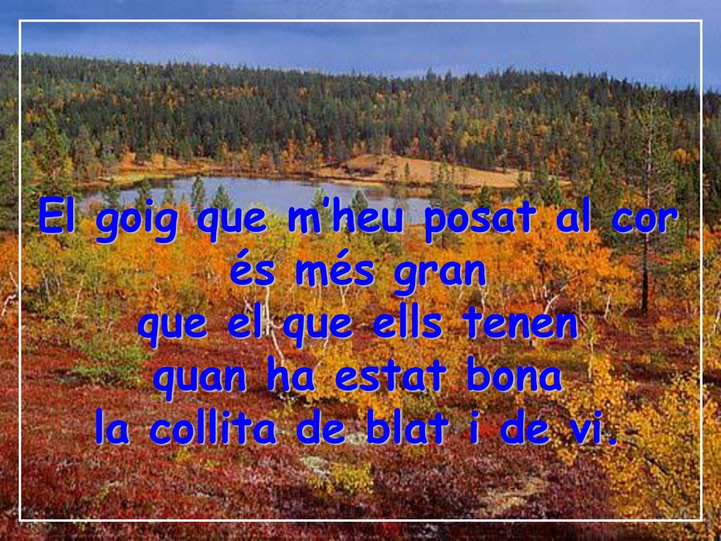 El goig que m’heu posat al cor és més gran que el que ells tenen