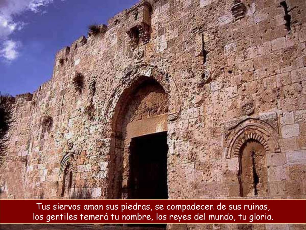 Tus siervos aman sus piedras, se compadecen de sus ruinas, los gentiles temerá tu nombre, los reyes del mundo, tu gloria.