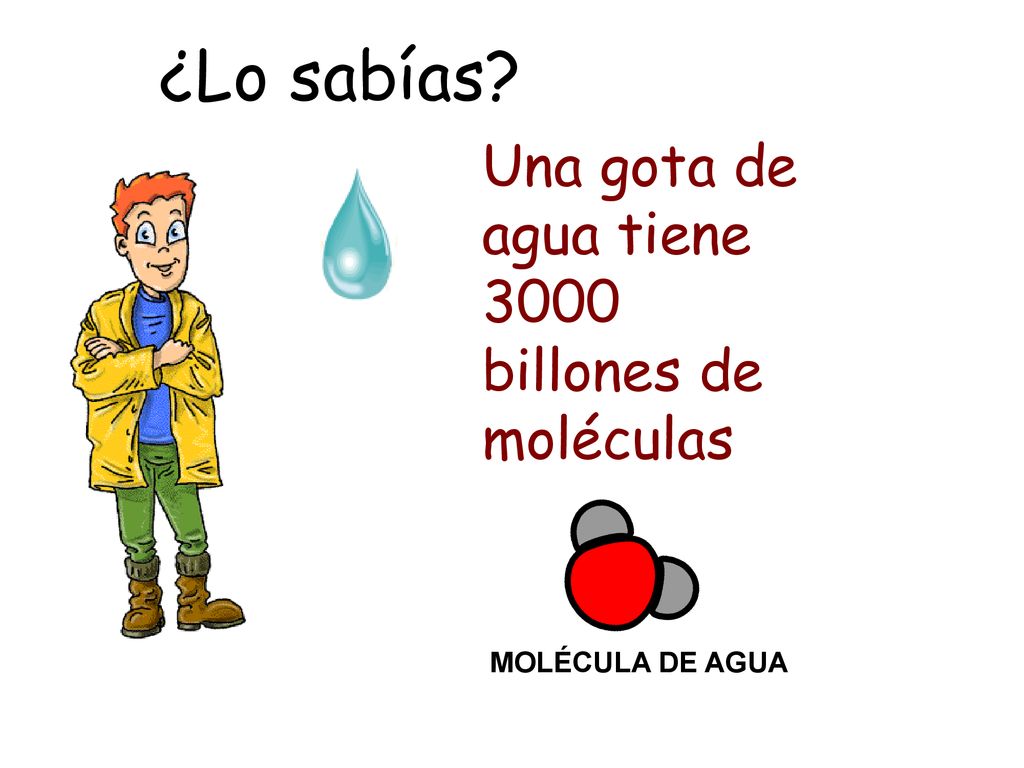 ¿Lo sabías Una gota de agua tiene 3000 billones de moléculas