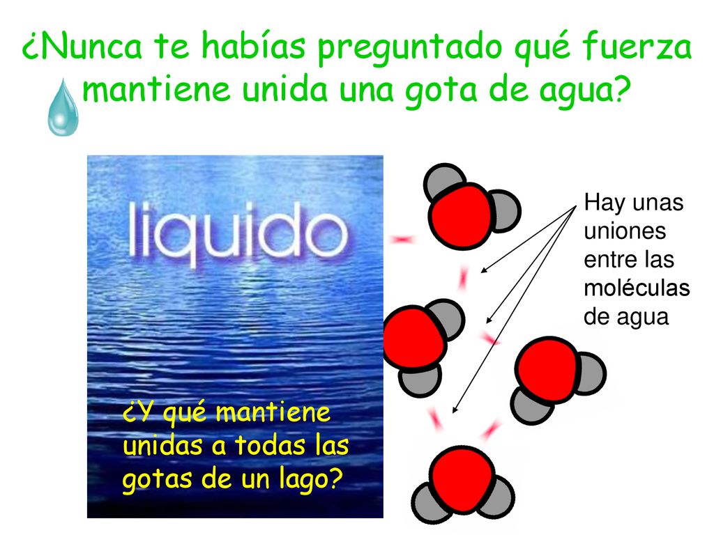 ¿Nunca te habías preguntado qué fuerza mantiene unida una gota de agua