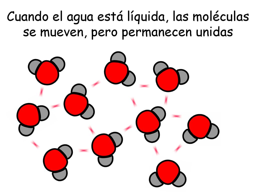 Cuando el agua está líquida, las moléculas se mueven, pero permanecen unidas