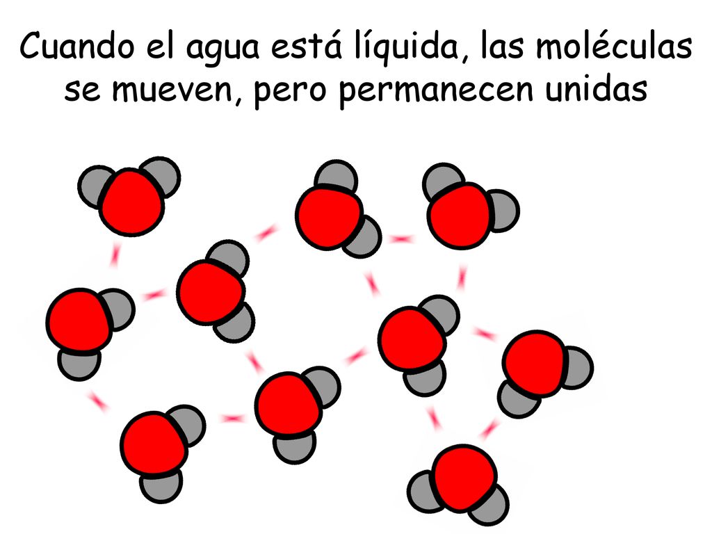 Cuando el agua está líquida, las moléculas se mueven, pero permanecen unidas