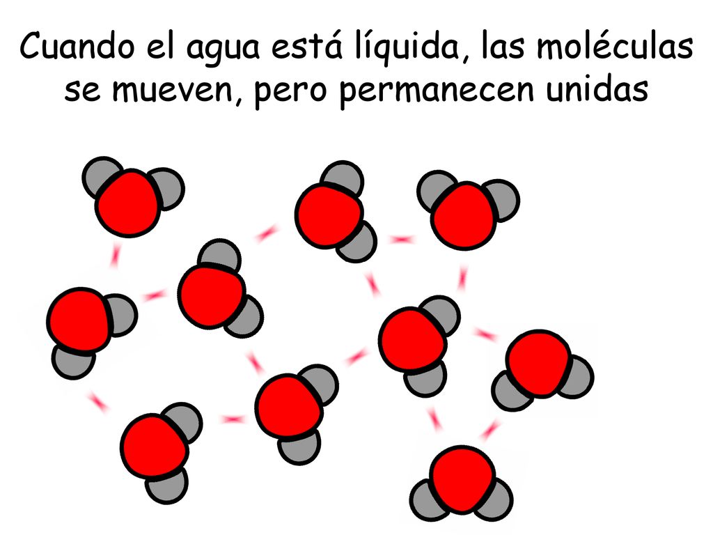 Cuando el agua está líquida, las moléculas se mueven, pero permanecen unidas