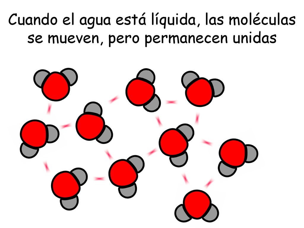 Cuando el agua está líquida, las moléculas se mueven, pero permanecen unidas