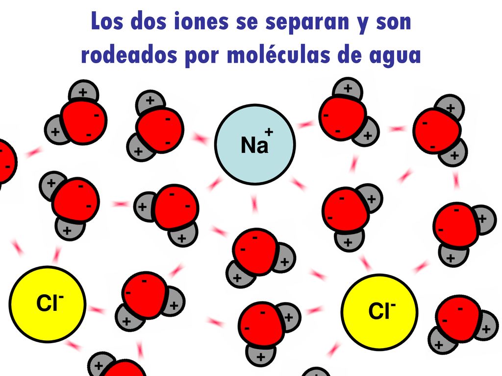 Los dos iones se separan y son rodeados por moléculas de agua