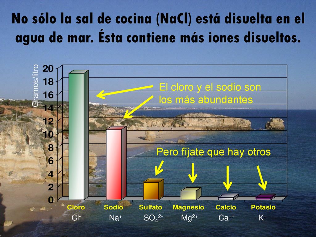 No sólo la sal de cocina (NaCl) está disuelta en el agua de mar