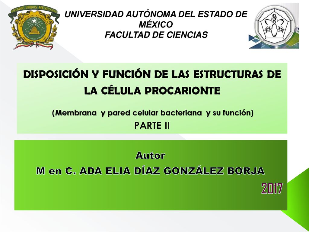 Autor M en C. ADA ELIA DÍAZ GONZÁLEZ BORJA 2017
