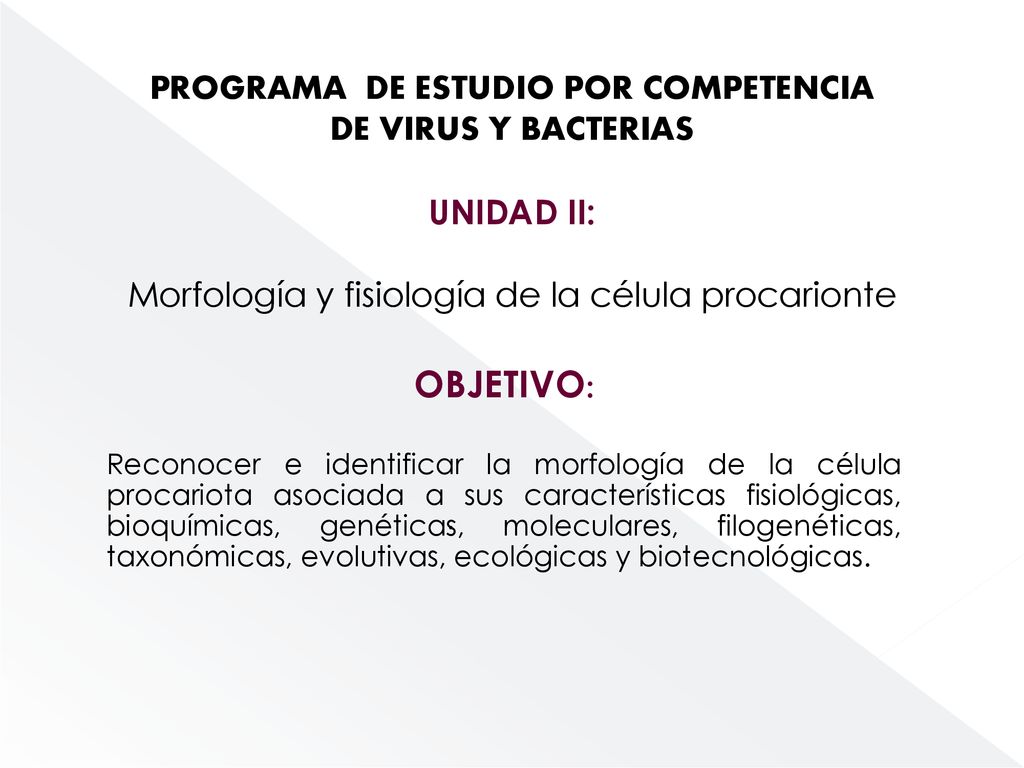 OBJETIVO: PROGRAMA DE ESTUDIO POR COMPETENCIA DE VIRUS Y BACTERIAS