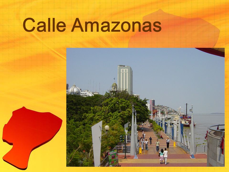 Calle Amazonas