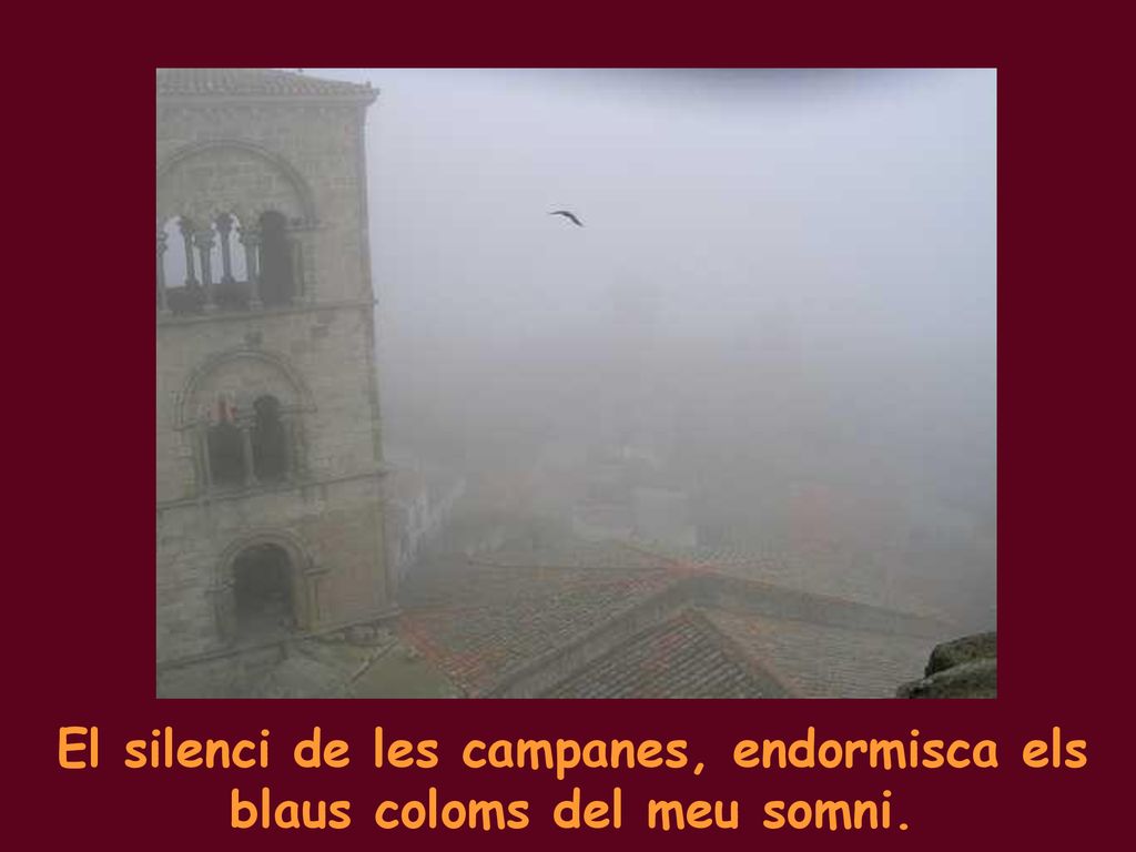 El silenci de les campanes, endormisca els blaus coloms del meu somni.