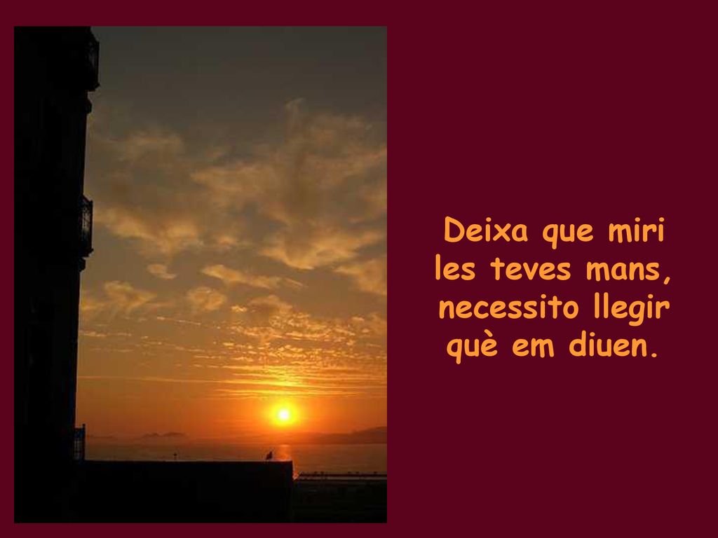 Deixa que miri les teves mans, necessito llegir què em diuen.