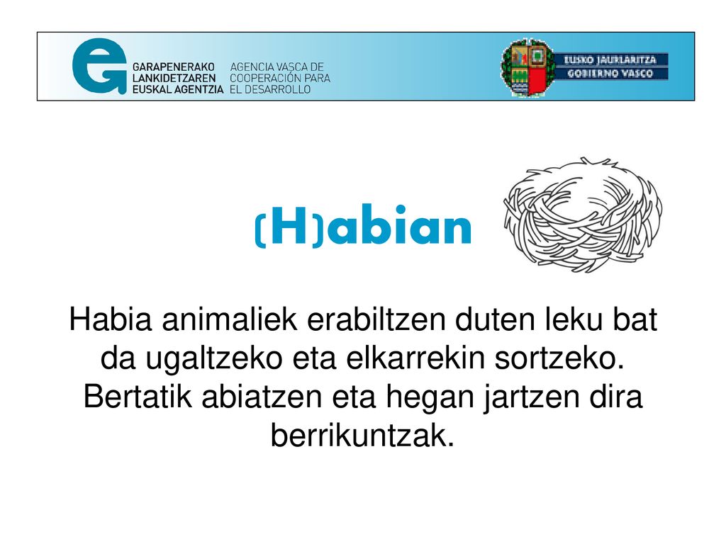 (H)abian Habia animaliek erabiltzen duten leku bat da ugaltzeko eta elkarrekin sortzeko.
