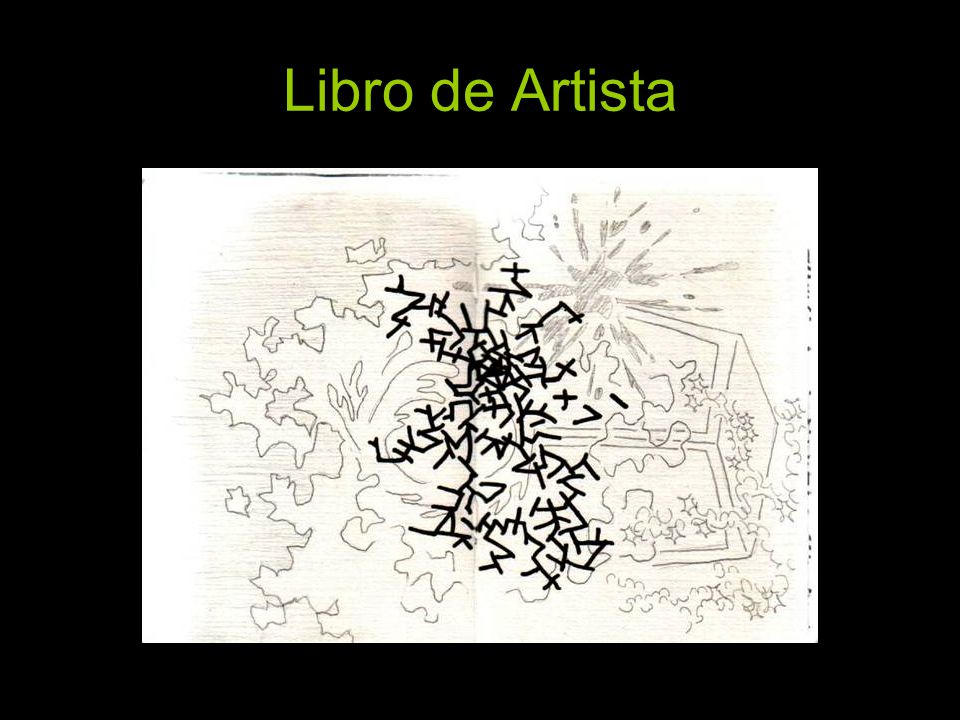 Libro de Artista