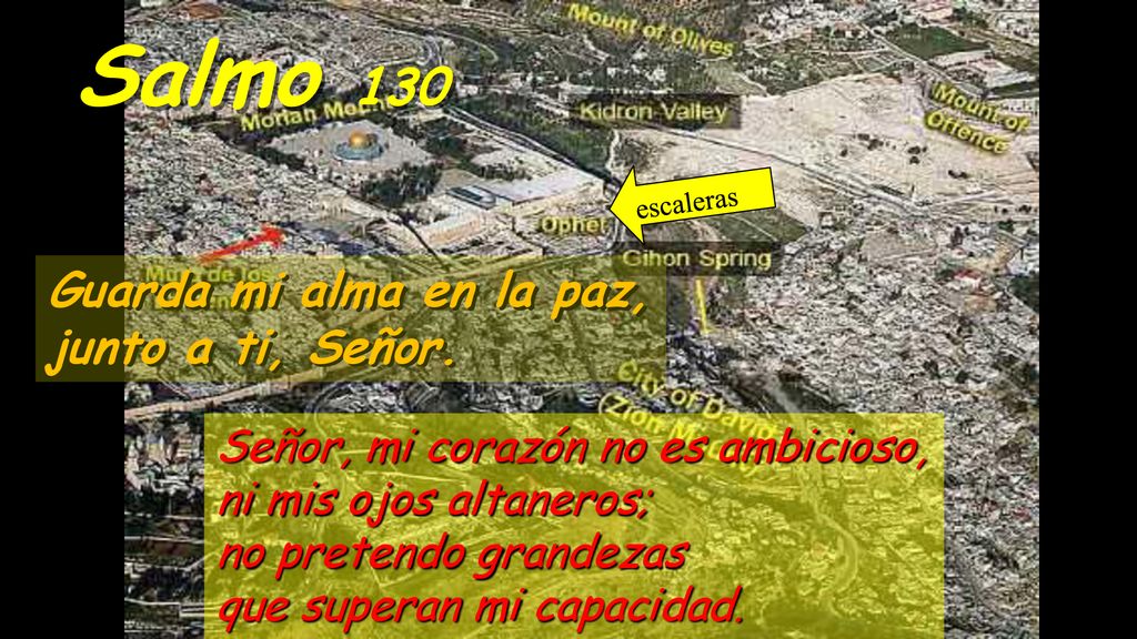 Salmo 130 Guarda mi alma en la paz, junto a ti, Señor.