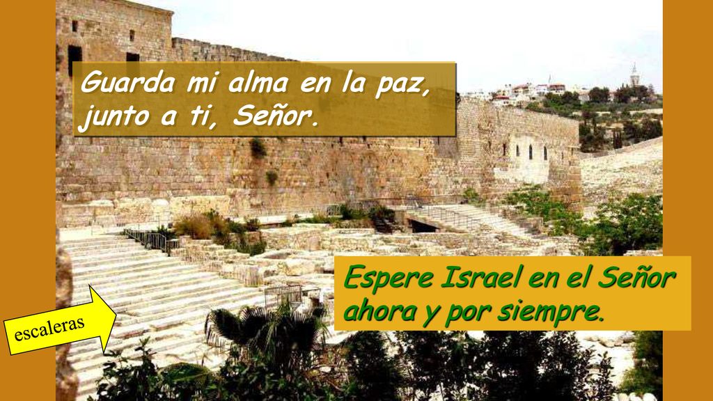 Guarda mi alma en la paz, junto a ti, Señor.