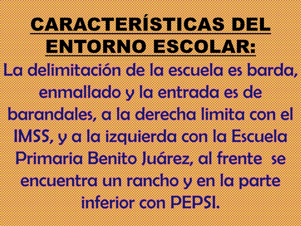CARACTERÍSTICAS DEL ENTORNO ESCOLAR: La delimitación de la escuela es barda, enmallado y la entrada es de barandales, a la derecha limita con el IMSS, y a la izquierda con la Escuela Primaria Benito Juárez, al frente se encuentra un rancho y en la parte inferior con PEPSI.