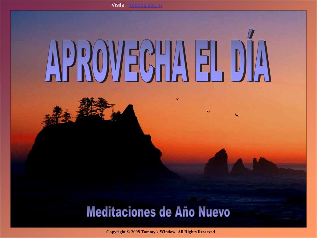 APROVECHA EL DÍA Tommy s Window Slideshow Meditaciones de Año Nuevo