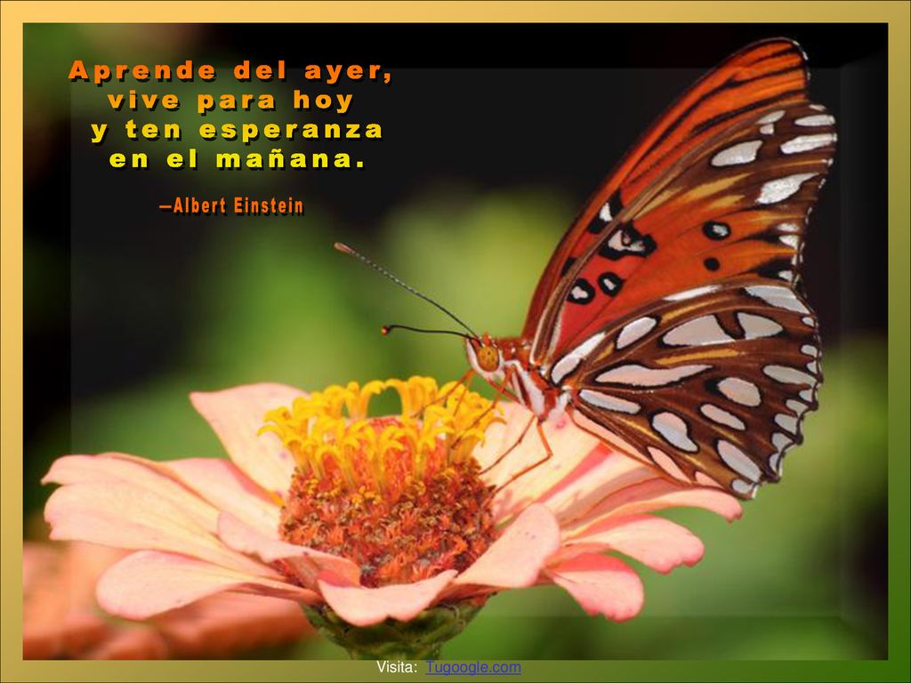Aprende del ayer, vive para hoy y ten esperanza en el mañana.