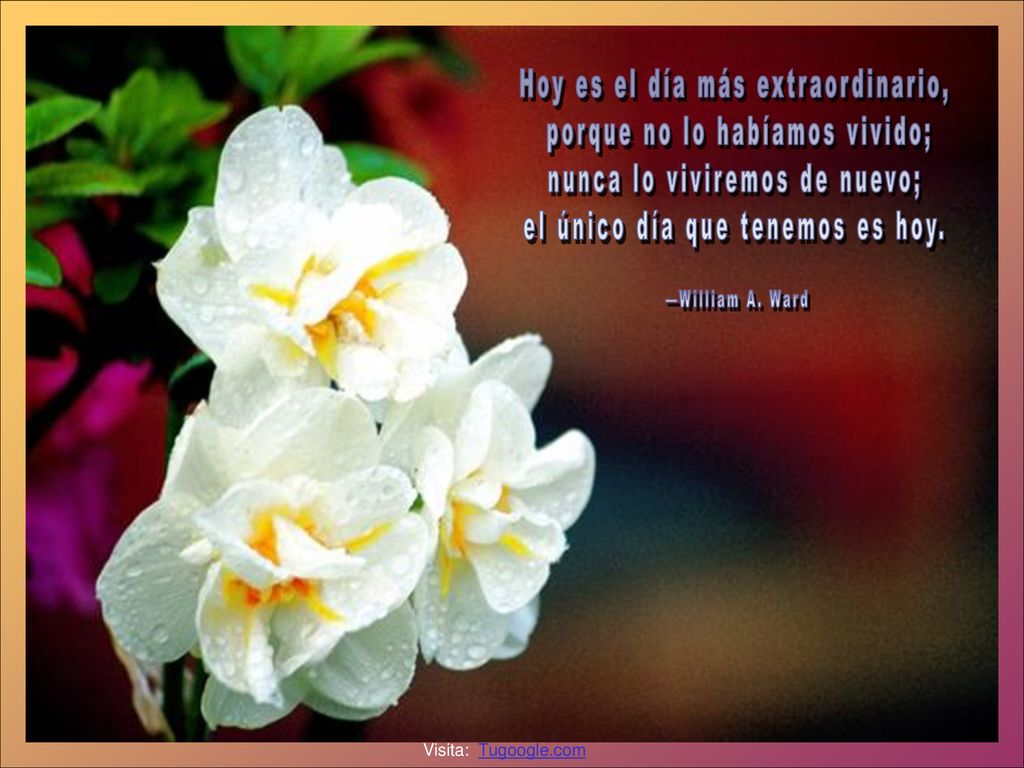 Hoy es el día más extraordinario, porque no lo habíamos vivido;