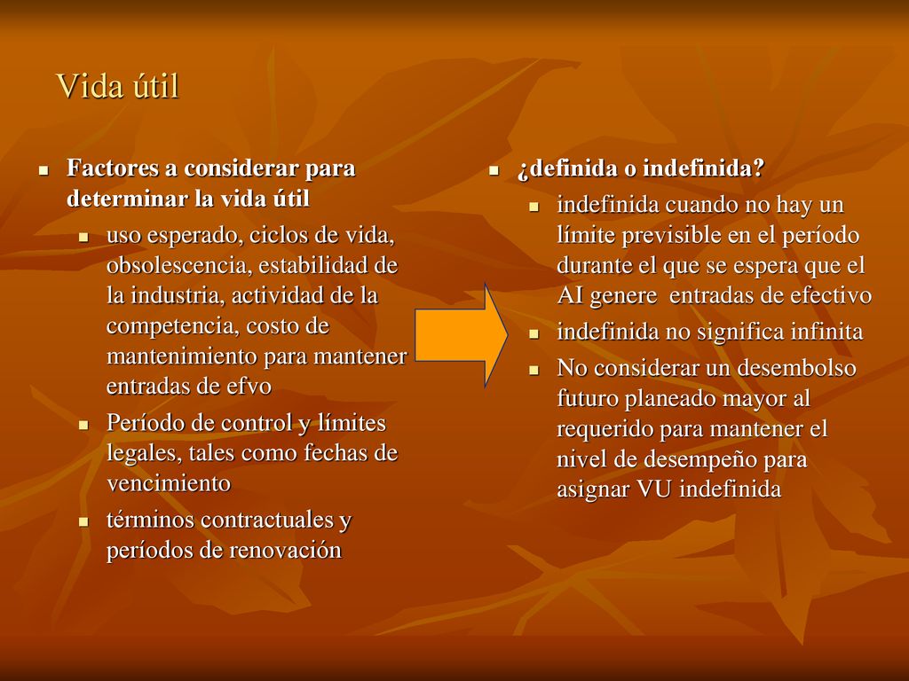 Vida útil Factores a considerar para determinar la vida útil