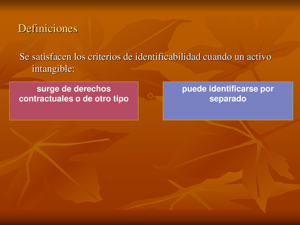 Definiciones Se satisfacen los criterios de identificabilidad cuando un activo intangible: surge de derechos contractuales o de otro tipo.
