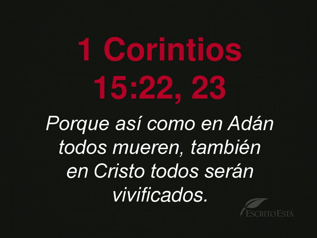 1 Corintios 15:22, 23 Porque así como en Adán todos mueren, también
